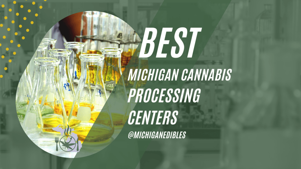 Best Processing centers in Michigan
