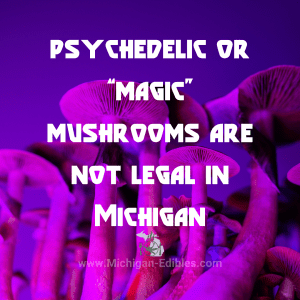 Are Hallucinogenic Mushrooms Legal in Michigan?
