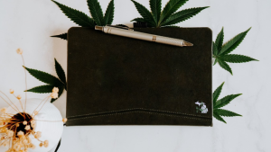 The Cannabis Conundrum: Challenges and Solutions for Business Owners