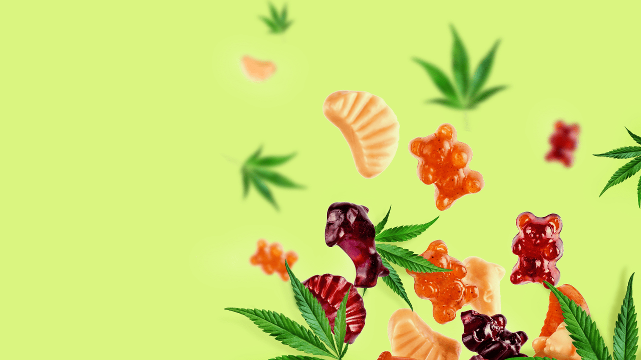 10 Things to Think About When Buying Delta 8 Gummies Michigan Edibles