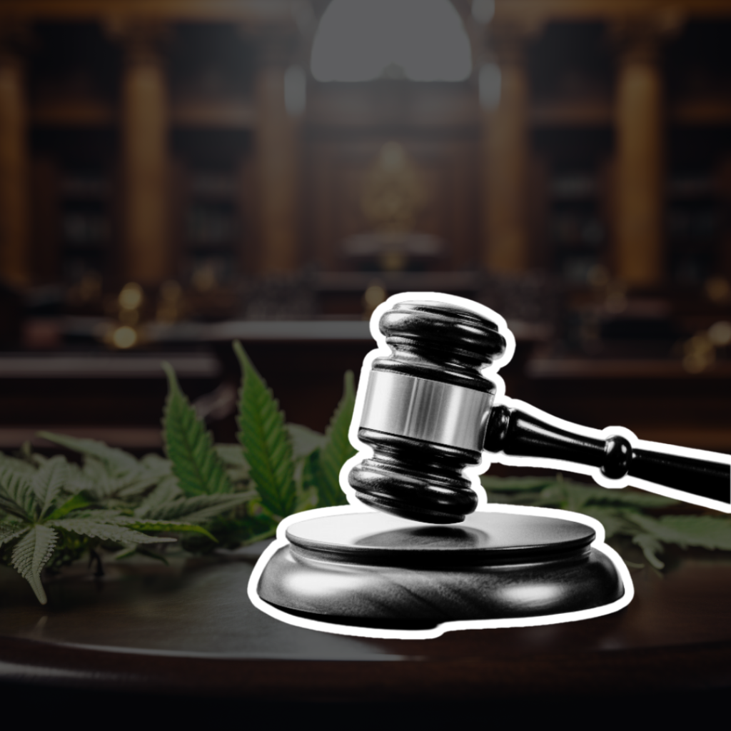 A judge's gavel in focus in front of a blurred courtroom setting with cannabis leaves in the foreground, suggesting a legal context involving marijuana.