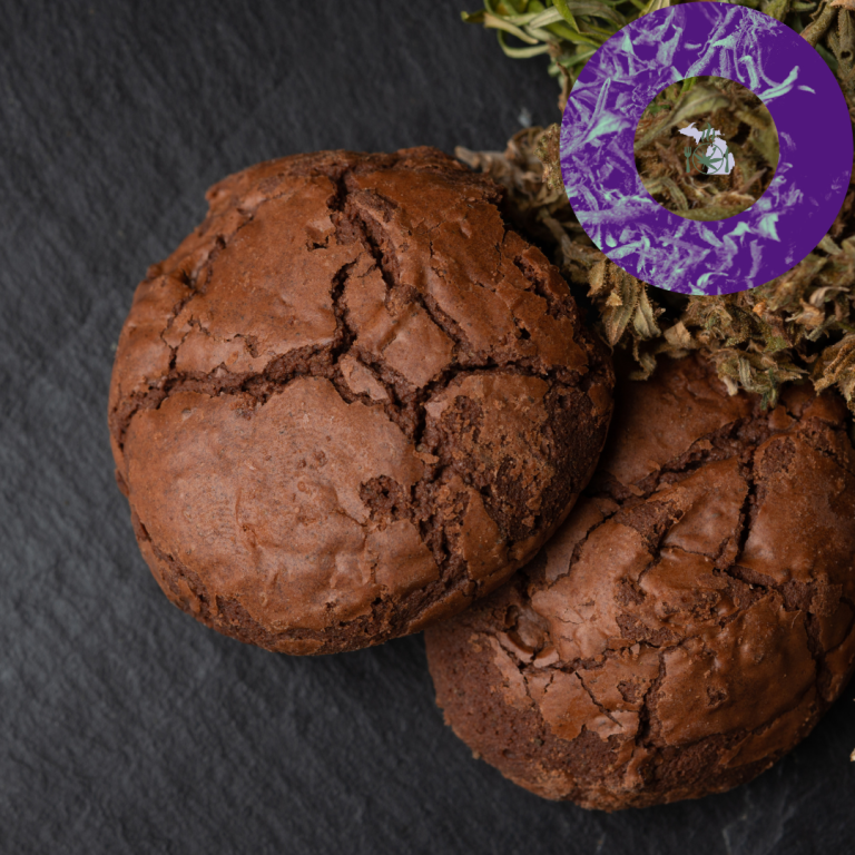 Three chocolate cookies with cracks on top, displayed on a dark slate surface with a decorative purple ribbon and some dried plants.