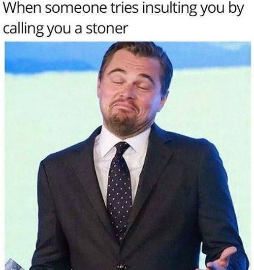when someone tries to insult you by calling you a stoner Leo